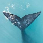 内容营销的复合效应-feature-image