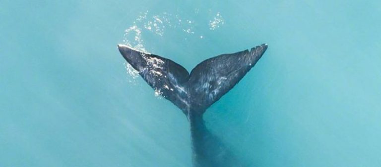 内容营销的复合效应-feature-image